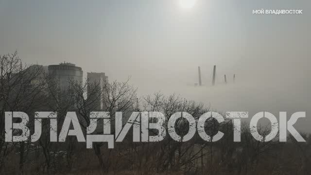 Владивосток январский туман 19 января 2025 смотреть онлайн