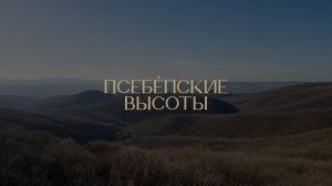 Виноградарский проект «Псебепские высоты»