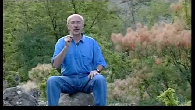 Николай Данилевский. Исходить в разных направлениях (Слово и дело) смотреть онлайн