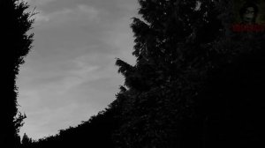 Наказание. Страшные истории на ночь 🫣🫣🫣