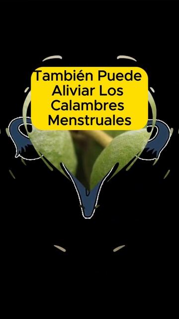 🌿💪 ¡Los Impactantes Secretos Saludables de la GUAYABA! 🌟🍈 #bienestarnatural #frutas #saludnatural смотреть онлайн