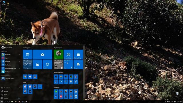 Windows 10 App Store Crashing [Fix in Description] смотреть онлайн