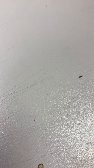 03-04-2025 смотреть онлайн