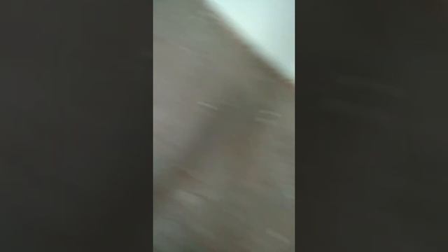 ЗАБРОШЕННЫЙ ПРОФИЛАКТОРИЙ смотреть онлайн