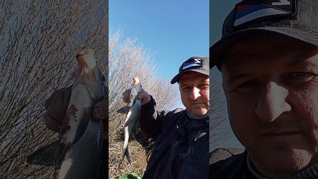 Москва река 03.04.2025г.