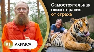 Как жить в балансе? — 1. АХИМСА. Жизнь без страха и агрессии. Что привлекает опасности в нашу жизнь