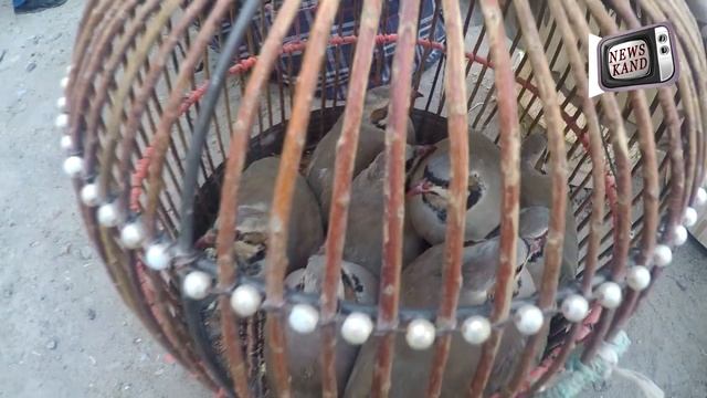 Бозори ш Конибодом Нархи саьба смотреть онлайн