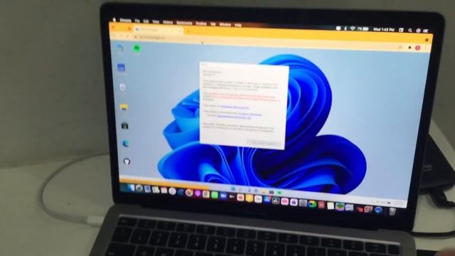 windows 11 in your browser!! смотреть онлайн