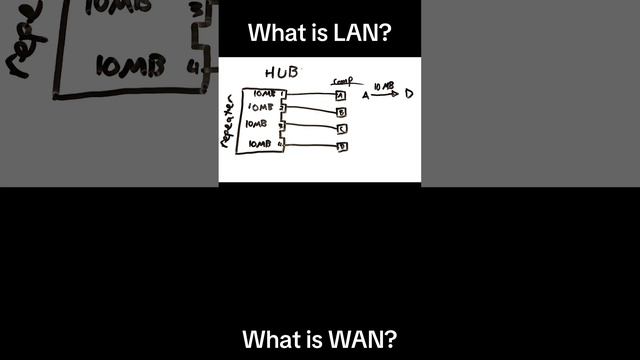 Computer Networks (LAN vs WAN) смотреть онлайн