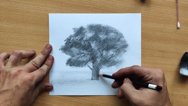 Как НАРИСОВАТЬ дерево. Обучающий урок по рисованию смотреть онлайн
