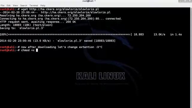 Kali Linux how to hack a website DDOS attack смотреть онлайн