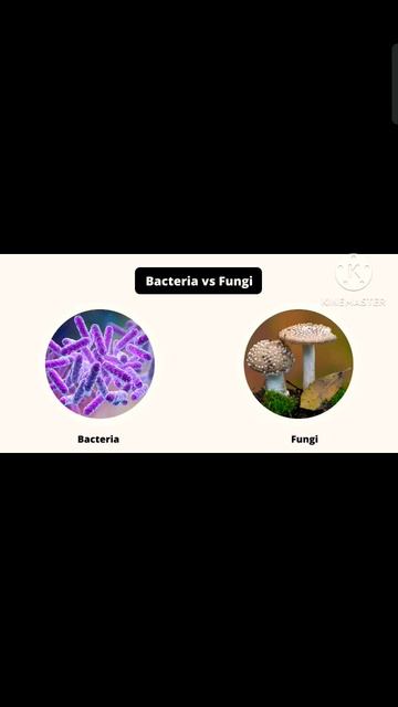 decomposers? #short смотреть онлайн