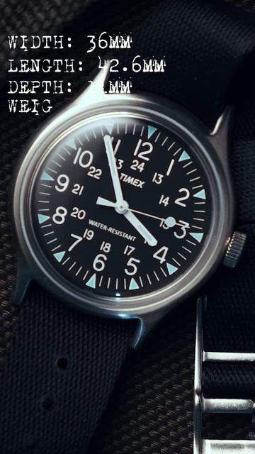 Timex Camper 36 смотреть онлайн