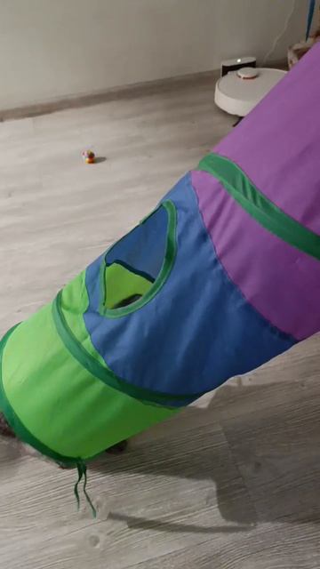 Попытка запрыгнуть в туннель