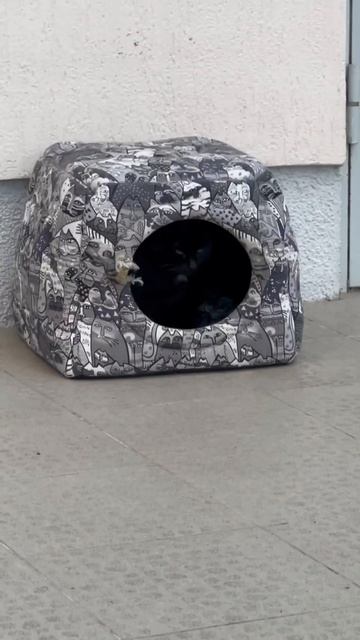 Котики г. Щелкино смотреть онлайн