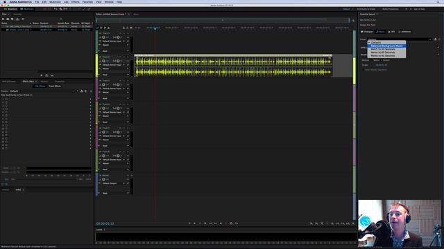 Adobe Audition CC Essential Sound For Music