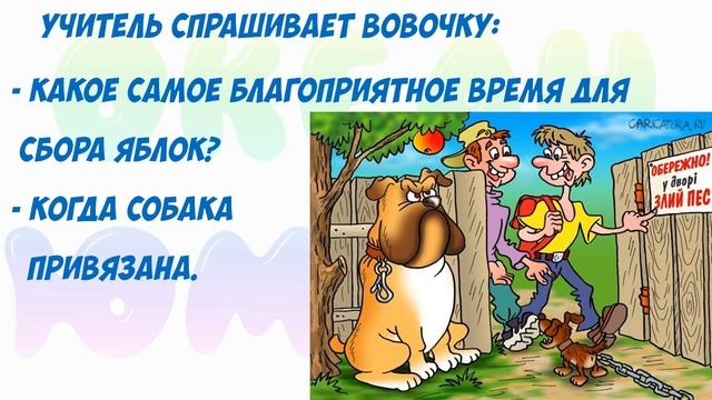 Сборник Анекдотов! № 8!На злобу дня, легко запомнить! Хохма! смотреть онлайн