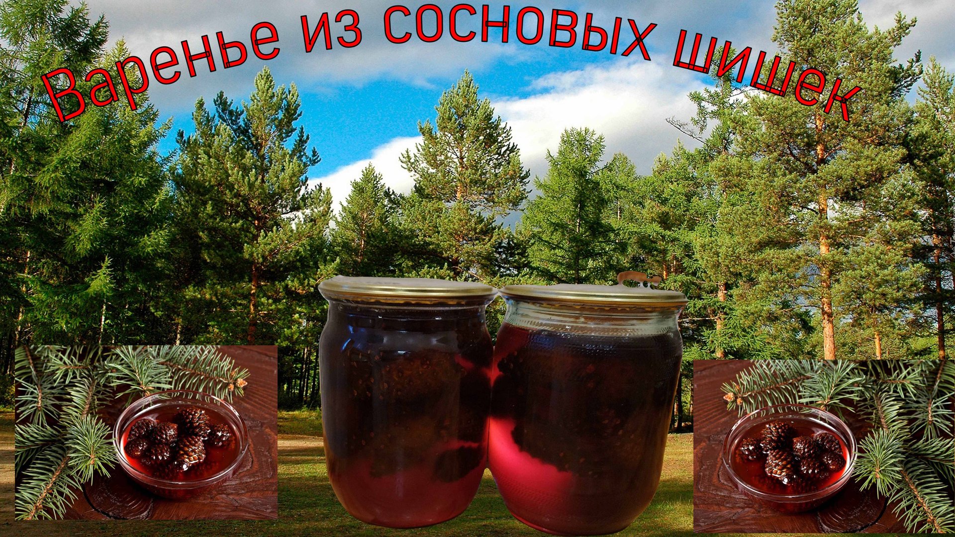 Варенье из сосновых шишек