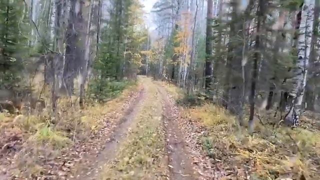 Копалушка-пофигист. Часть вторая. смотреть онлайн