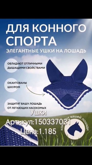 Амуниция для лошадей с WB🤍✨#horse#lovehorses#horseriding#konni #лошади#тренды#рекомендации смотреть онлайн