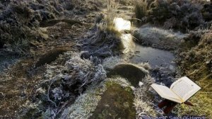 072. Сура Аль-Джинн
Прекрасное чтение Корана 
Чтец: Саадом Аль Гамиди