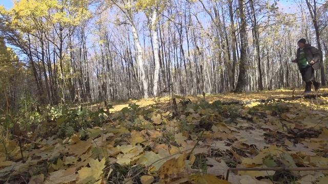 осень 2021 Голубое небо .Солнце. КРАСИВО ! смотреть онлайн