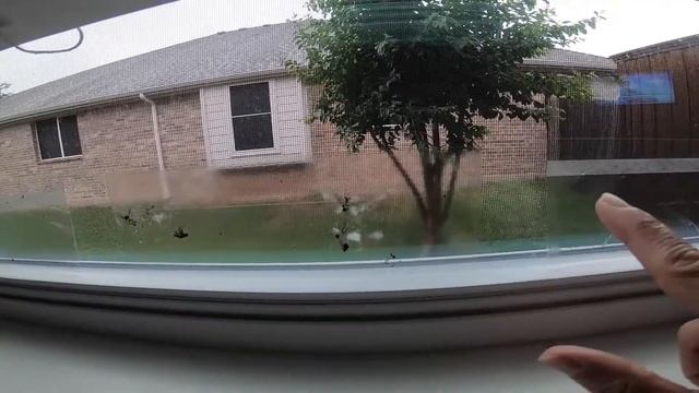 Best Window Fly Traps смотреть онлайн