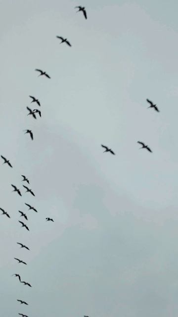 Синее небо смотреть онлайн