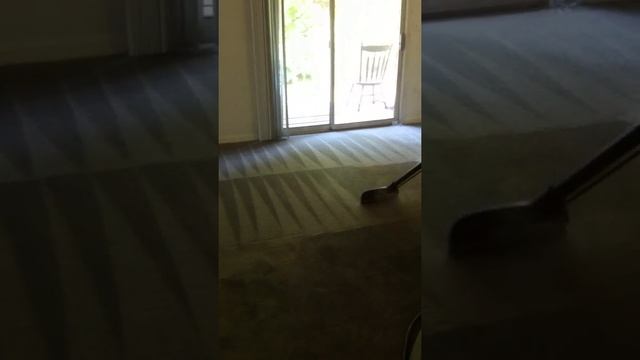 Bowman's Carpet Care - Steam Cleaning At Its Finest In Indianapolis