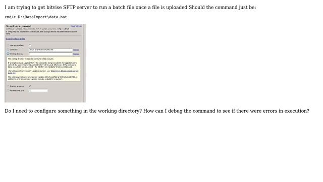 Bitvise SFTP server On-upload command batch file смотреть онлайн