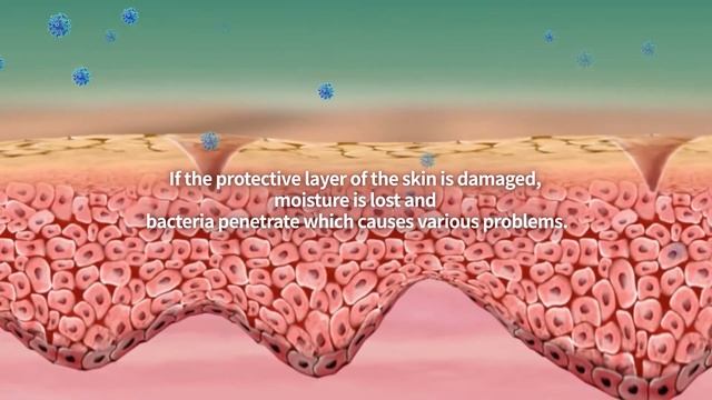 [ENG] The beginning of beauty felt through the skin! NEWLAND DERMA BIOME смотреть онлайн