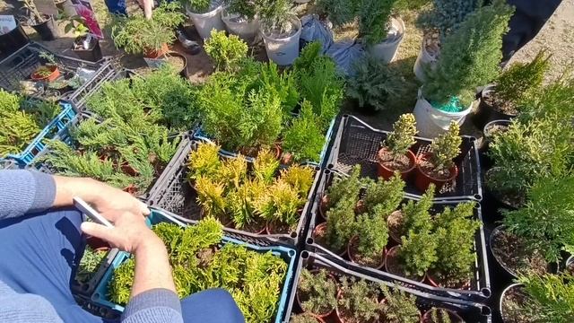 30.03.2025г. Поездка в Краснодарский край г.Кропоткин на ярмарку.Покупки. смотреть онлайн