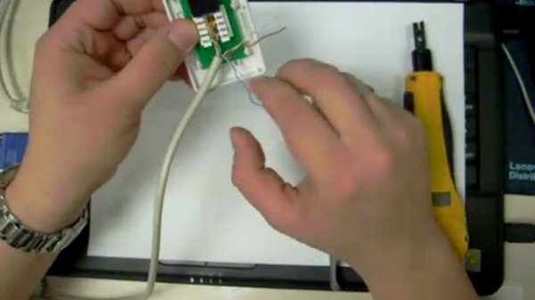 Обжим компьютерной розетки Cat 5e
