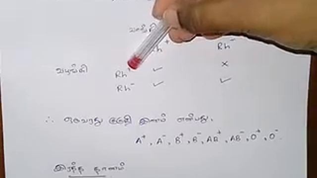 Grade 9(Blood group ) смотреть онлайн