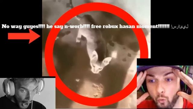 OMG!!!!!!!!! NEW HASAN MOMENT!!!!!!! FREE ROBUX NO SCAM WINDOWS XP!!!!!!!!!!!!!!!! смотреть онлайн