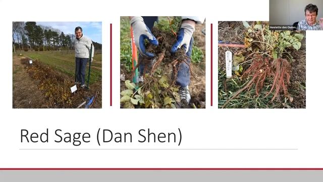 Growing Herbs Webinar II: Cover Crops and Growing Roots Webinar смотреть онлайн