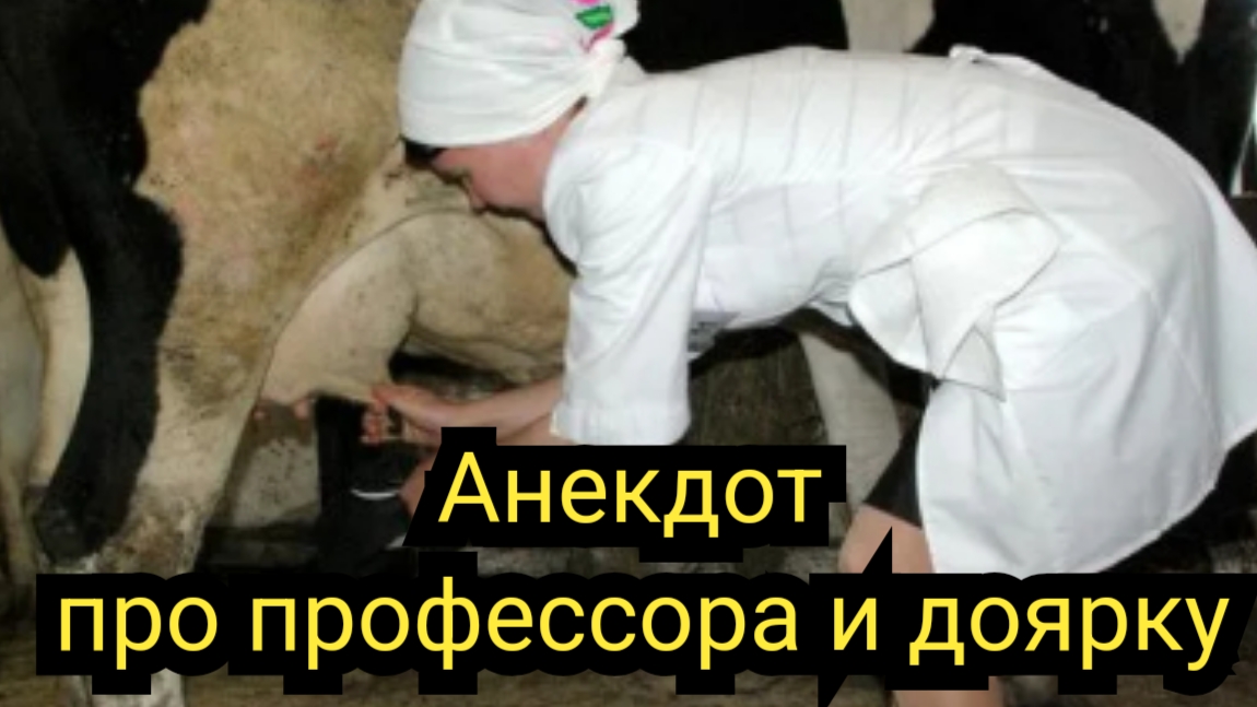 Анекдот про профессора и доярку смотреть онлайн