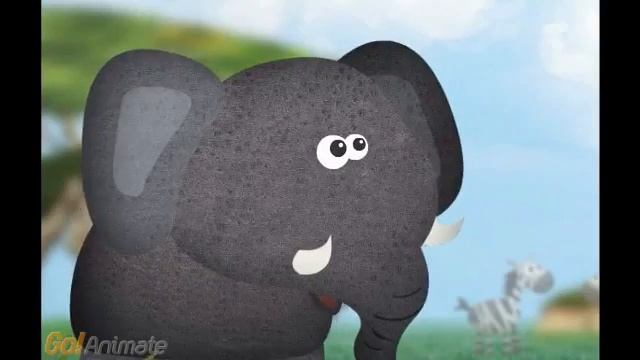 the new born zebra смотреть онлайн