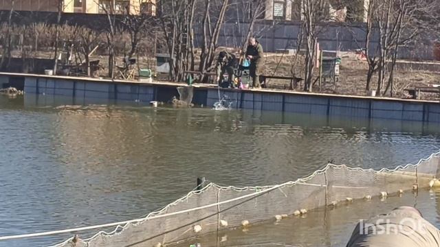 Ловим форель смотреть онлайн