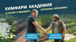 Пленка для мульчирования | Применение мульчирующей пленки на территории СПХФА