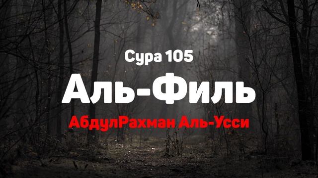 Сура 105 Аль-Филь - АбдулРахман Аль-Усси