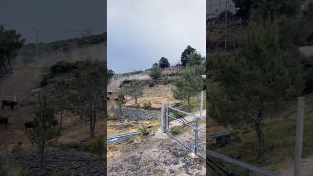 Rally de Portugal 2022 SS15 - Amarante смотреть онлайн