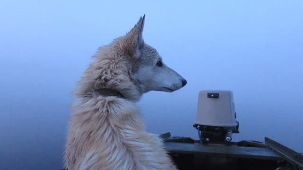 На Казанке с моторами Вихрь.