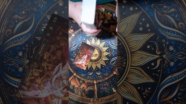 ЛЕВ 13 ИЮНЯ смотреть онлайн