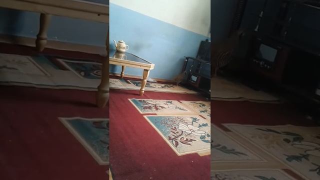 Дурной кеклик смотреть онлайн