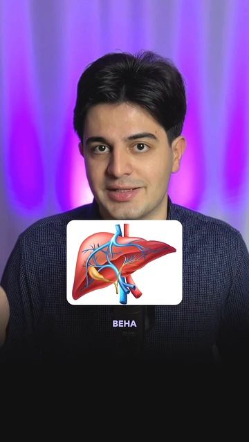 Почему печень это особый орган? смотреть онлайн