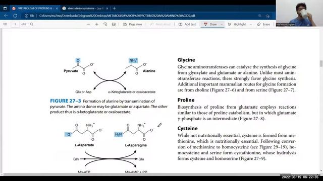 1 Metabolism of Proteins and Amino Acids смотреть онлайн