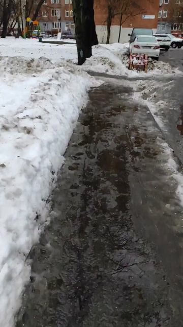 Погода в Москве 12.12.22 смотреть онлайн