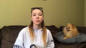 Что нужно для щенка шпица? Чем кормить шпица? #шпиц