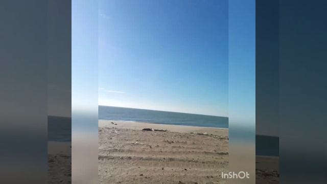 Романтика на море😁😁😁 смотреть онлайн